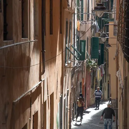 Ninni Genoa